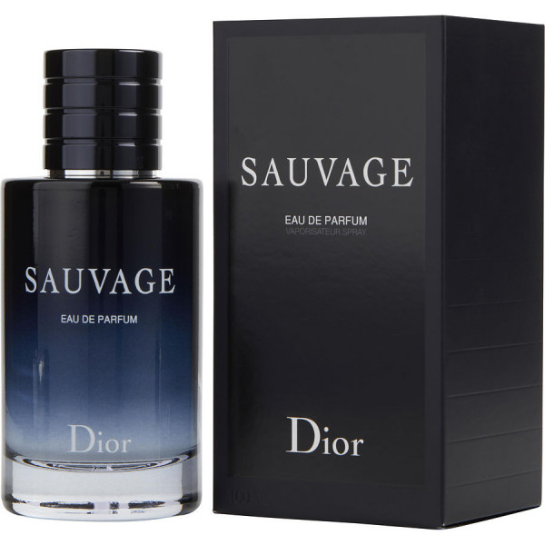 عطر ادکلن دیور ساواج ادو پرفیوم ۱۰۰ میل | Dior Sauvage Eau de Parfum 100 mil